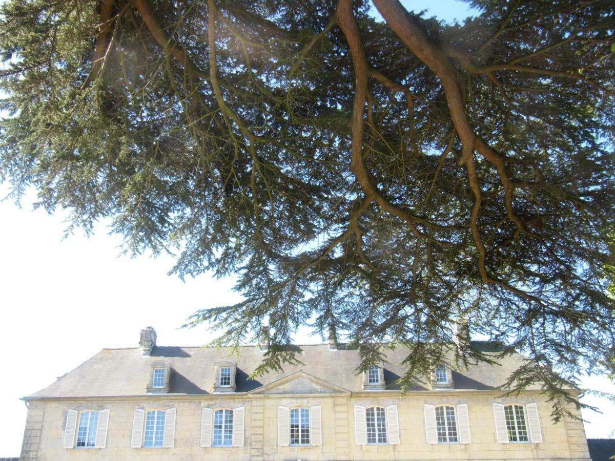 Bed & Breakfast Chateau Les Cedres Bretteville-l'Orgueilleuse Ngoại thất bức ảnh