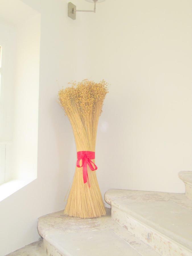 Bed & Breakfast Chateau Les Cedres Bretteville-l'Orgueilleuse Ngoại thất bức ảnh