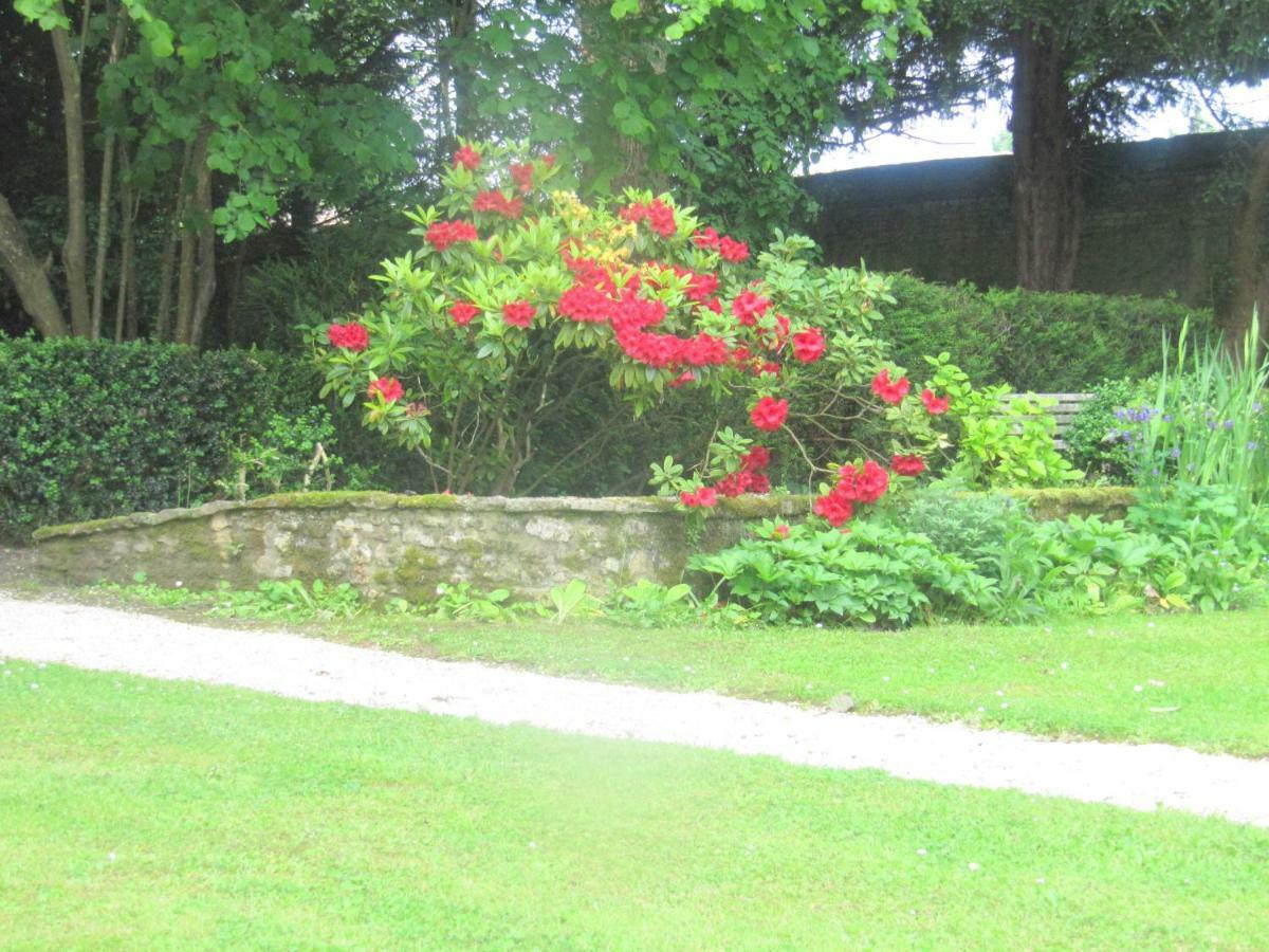 Bed & Breakfast Chateau Les Cedres Bretteville-l'Orgueilleuse Ngoại thất bức ảnh